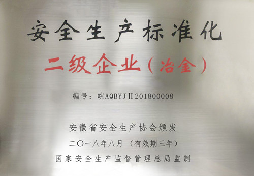 二級企業(yè)_副本.jpg